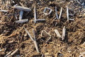 Speak Truth Out Loud