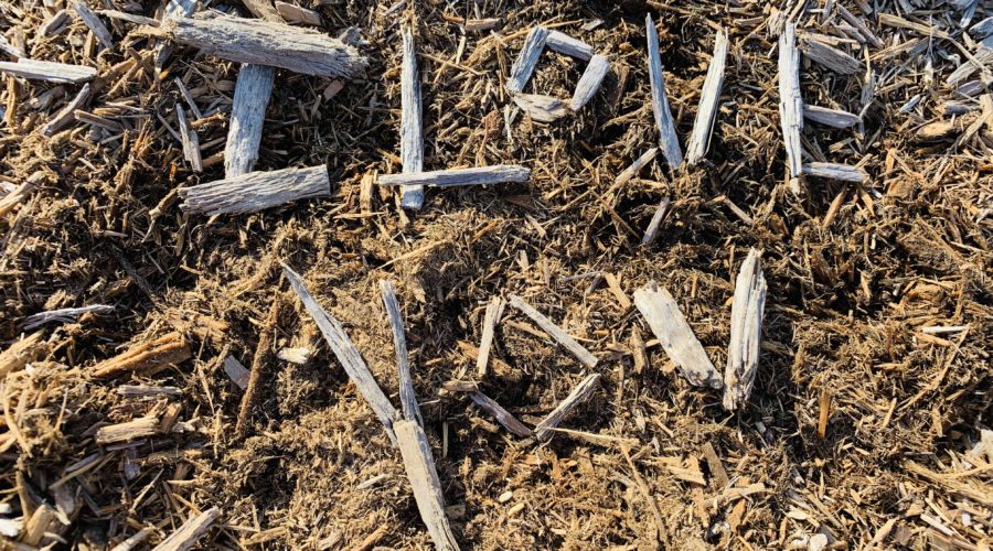 Speak Truth Out Loud