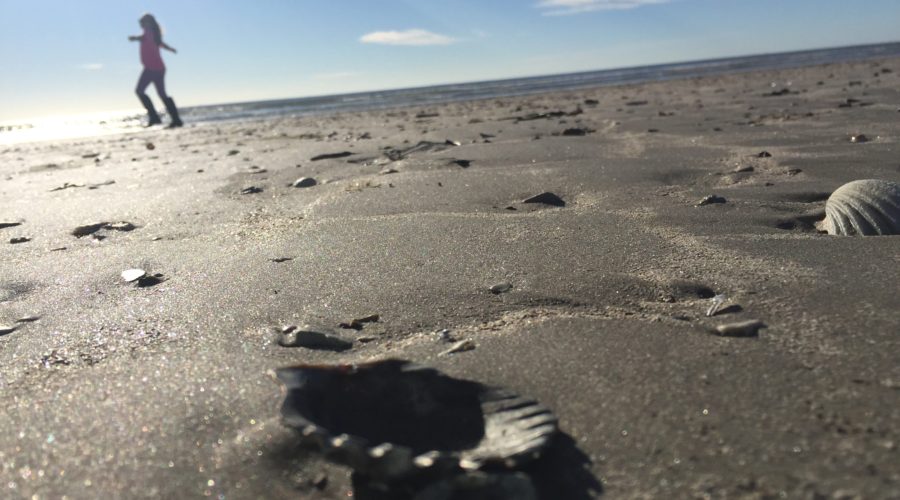 Why You Should Be The Light