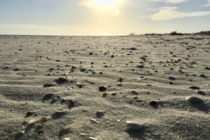 Never Decide Anything In The First 2 Miles