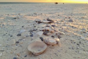 Stop Focusing On The Big Picture