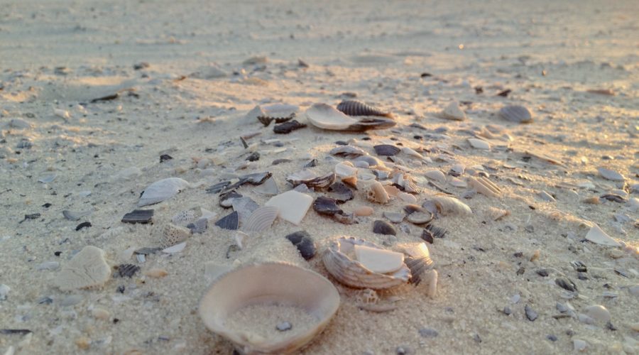 Stop Focusing On The Big Picture