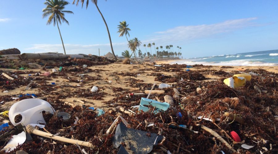 You Dont Have to be a Treehugger to Recycle