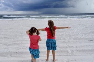 The Gratitude of Life and Being Alive