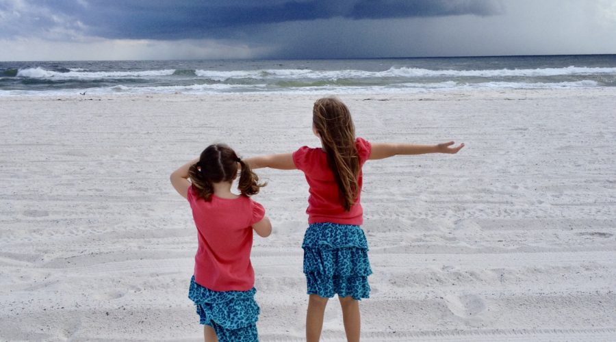 The Gratitude of Life and Being Alive