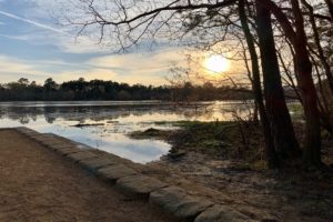 Your Pain Matters and Is Not Lost