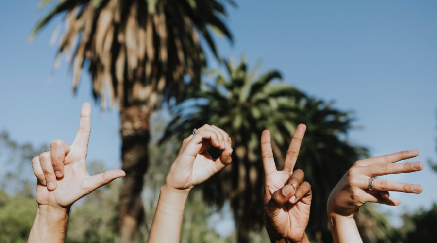 An Open Letter About Stopping The Madness