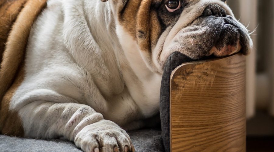 This is No Reason to Be Bored or Lazy