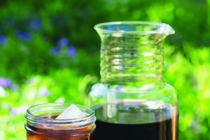 toddy cold brew system